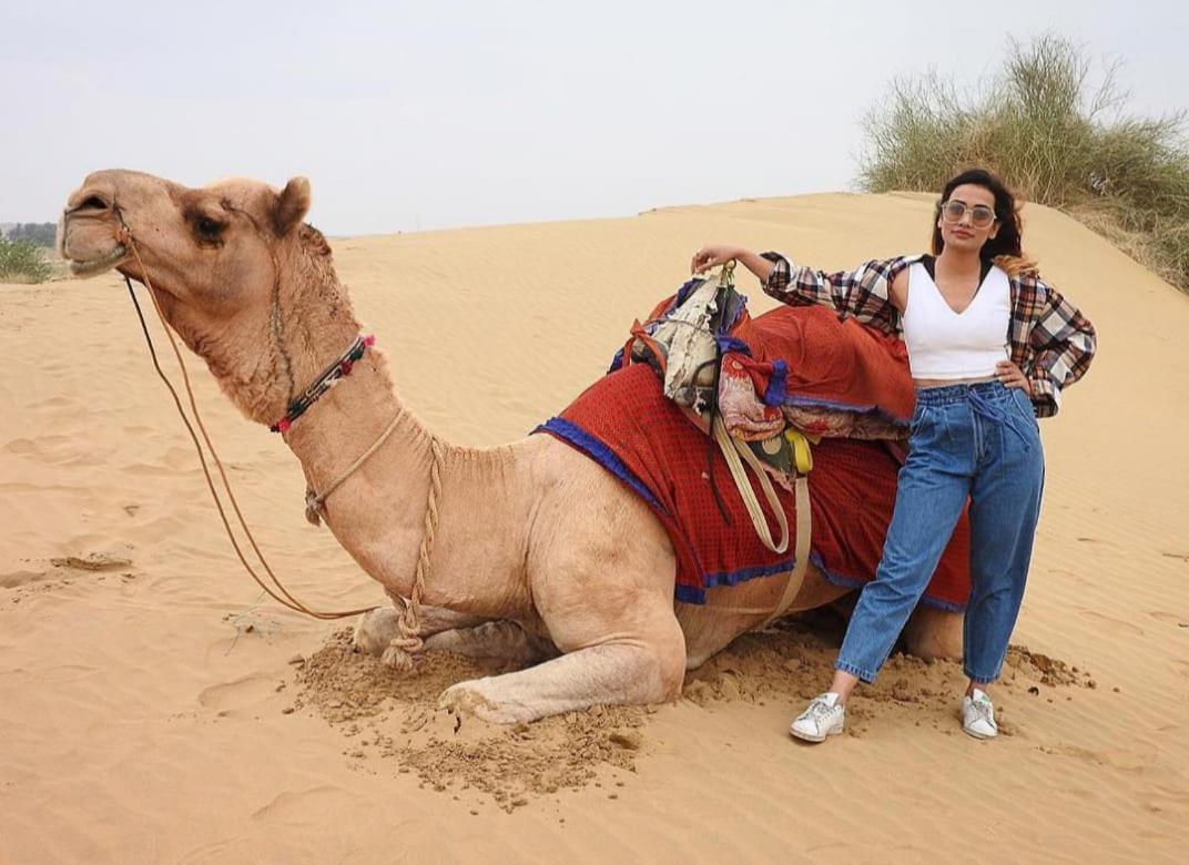 جيلسامر Desert Heritage Camps & Resort المظهر الخارجي الصورة