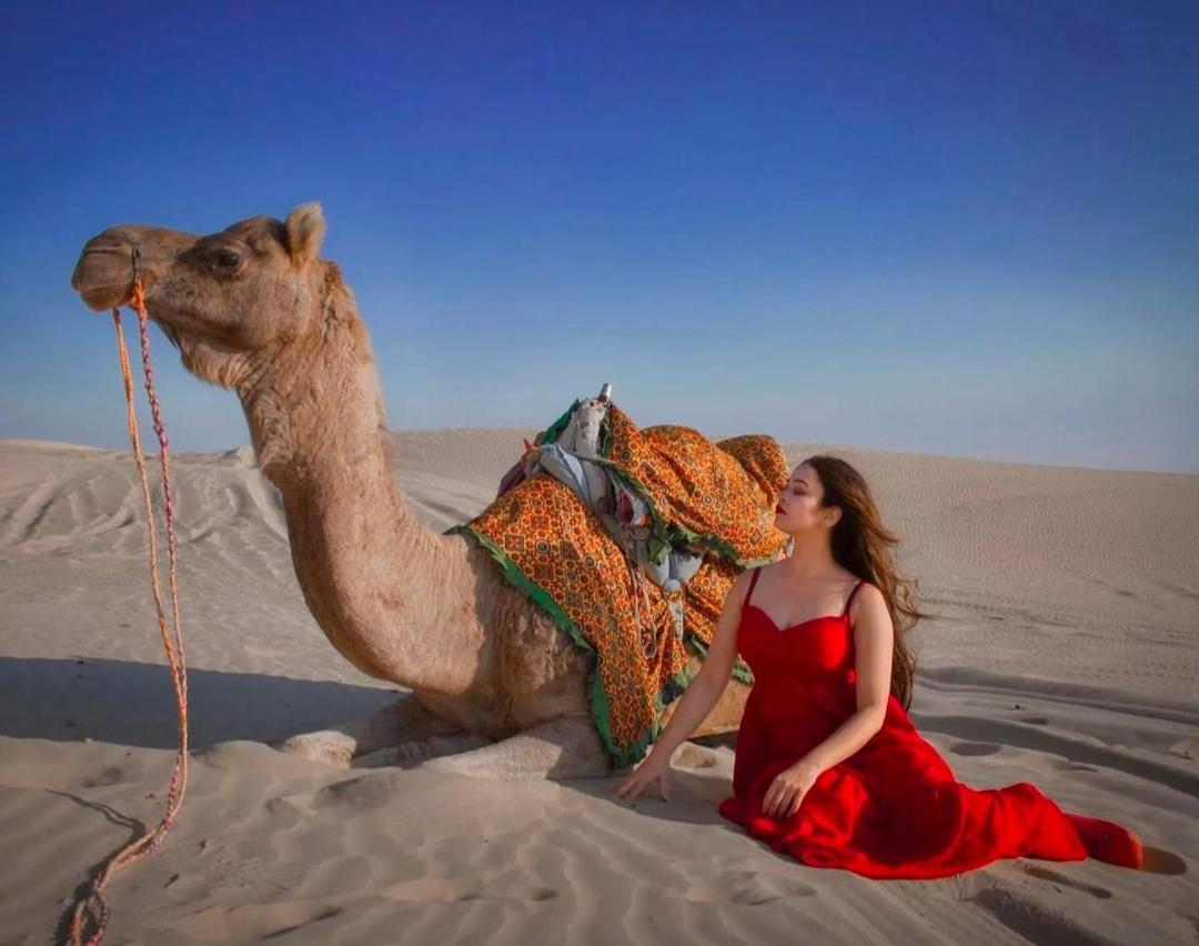 جيلسامر Desert Heritage Camps & Resort المظهر الخارجي الصورة